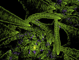 Similar image 21694769