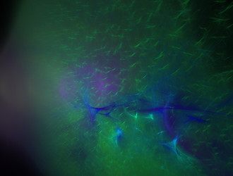 Similar image 21694981