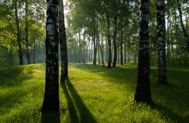 Similar image 21687762