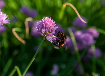 Similar image 21687764