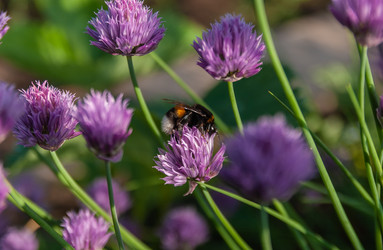 Similar image 21687765