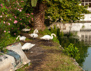 Similar image 21687773