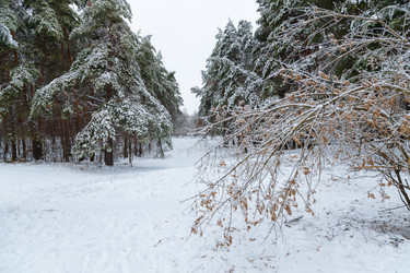 Similar image 21688034