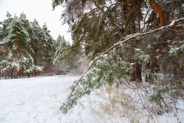 Similar image 21688035