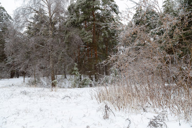 Similar image 21688036