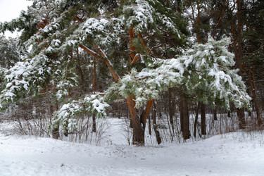 Similar image 21688037