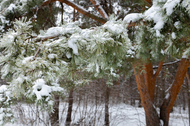 Similar image 21688038