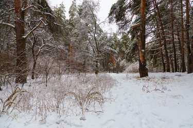 Similar image 21688040