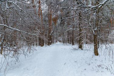 Similar image 21688041