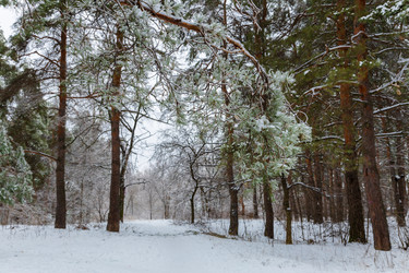 Similar image 21688042