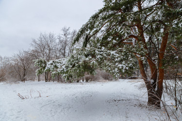 Similar image 21688043