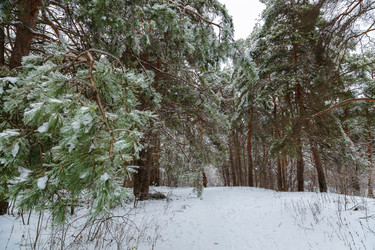 Similar image 21688044