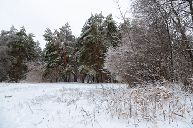 Similar image 21688045