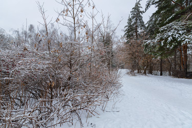 Similar image 21688046