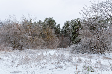 Similar image 21688047