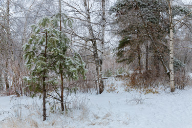 Similar image 21688048