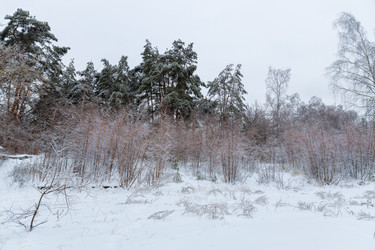 Similar image 21688050