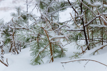 Similar image 21688051