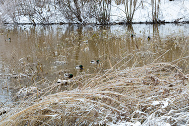 Similar image 21688052