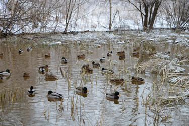 Similar image 21688053