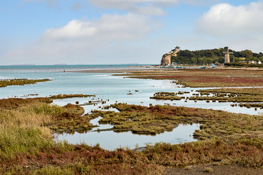 Similar image 21690957