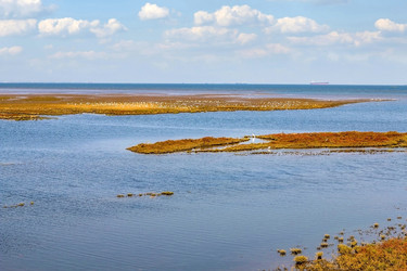 Similar image 21690958