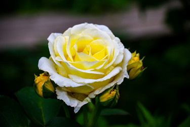 Similar image 21690960