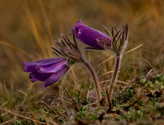 Similar image 21688233