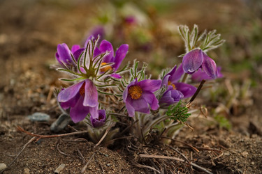 Similar image 21688234