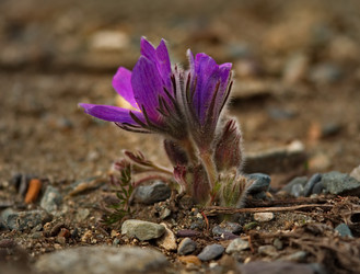 Similar image 21688236