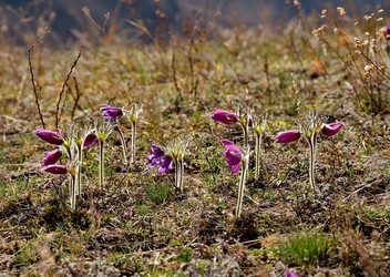 Similar image 21688238