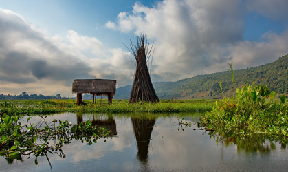 Similar image 21688245