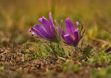 Similar image 21688248