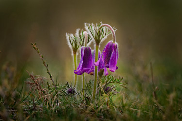 Similar image 21688249