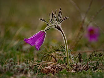 Similar image 21688250