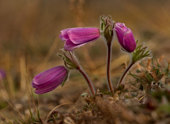 Similar image 21688252