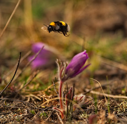 Similar image 21688256