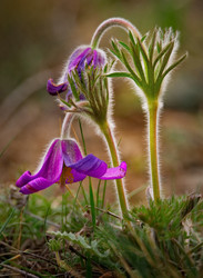 Similar image 21688257