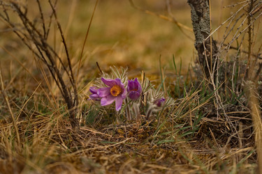 Similar image 21688258