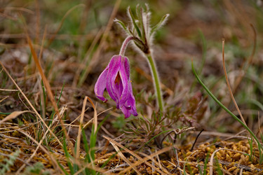 Similar image 21688259