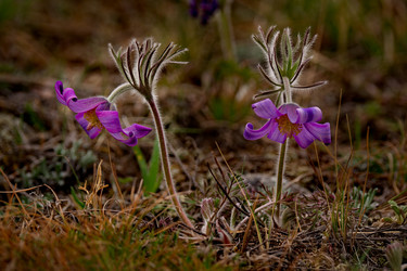 Similar image 21688261