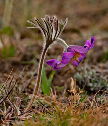 Similar image 21688263