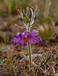 Similar image 21688265