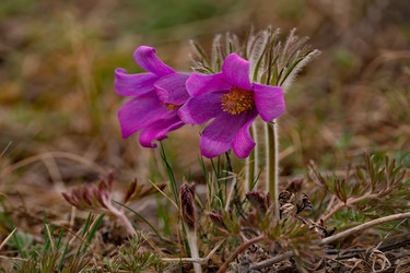 Similar image 21688140