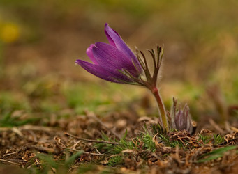 Similar image 21688141