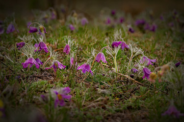 Similar image 21688142