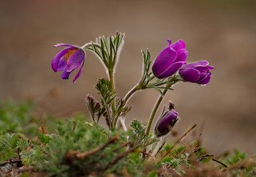 Similar image 21688143