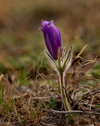 Similar image 21688144