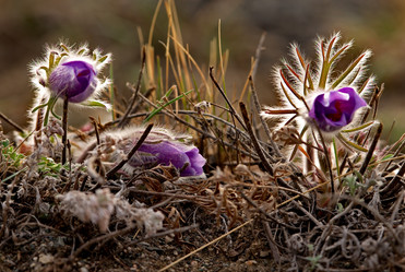 Similar image 21688267