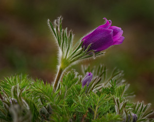 Similar image 21688268